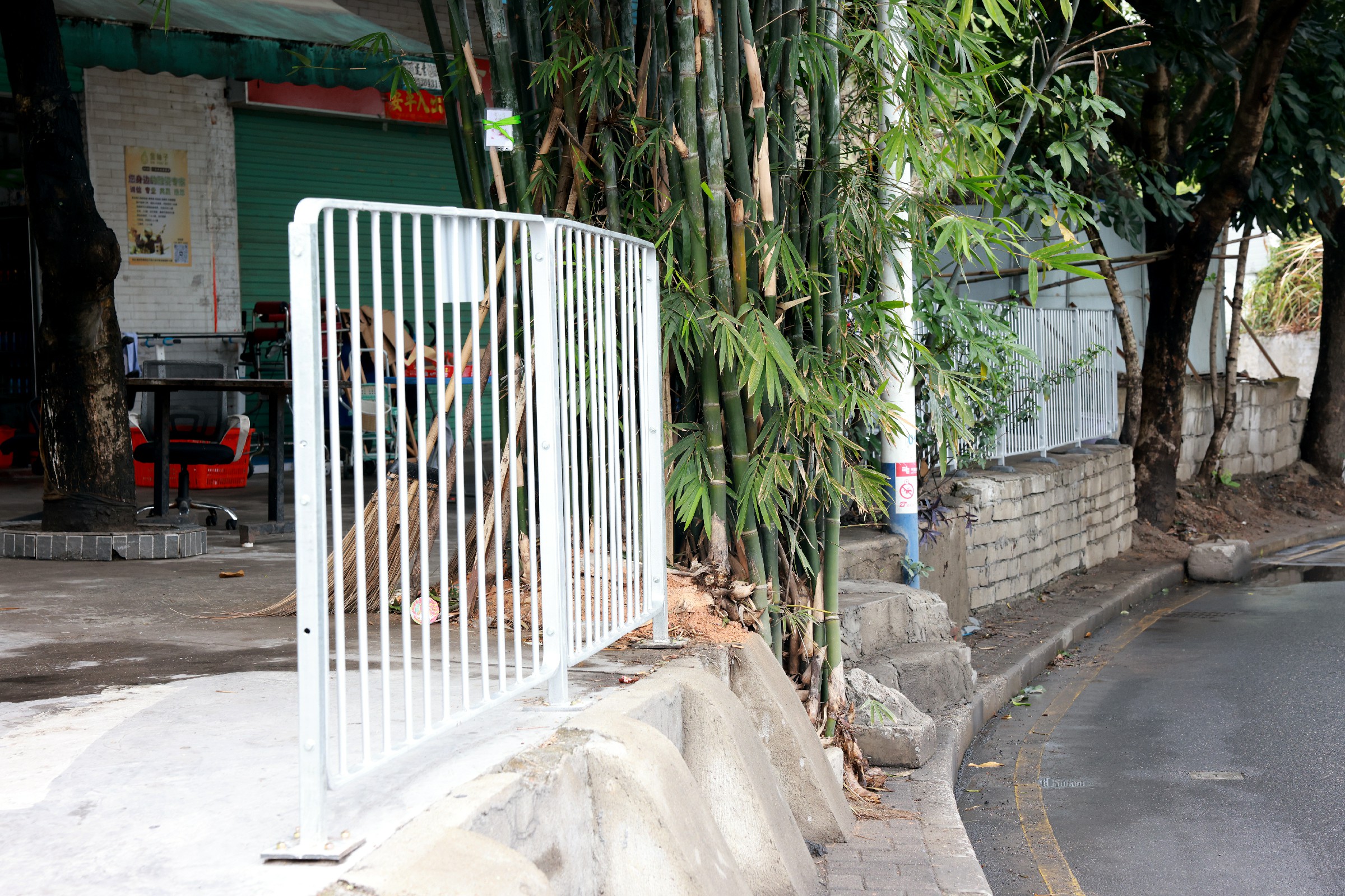 1G4A0524.jpg 1G4A0524.jpg